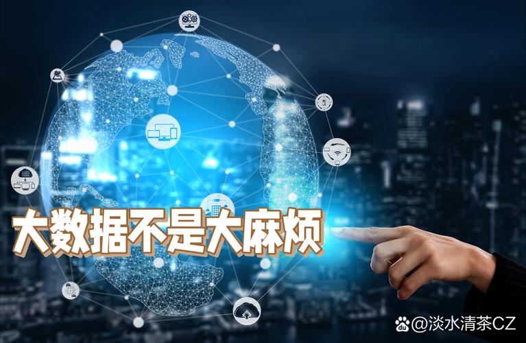 大数据不是大麻烦:县级政府如何驾驭海量数据